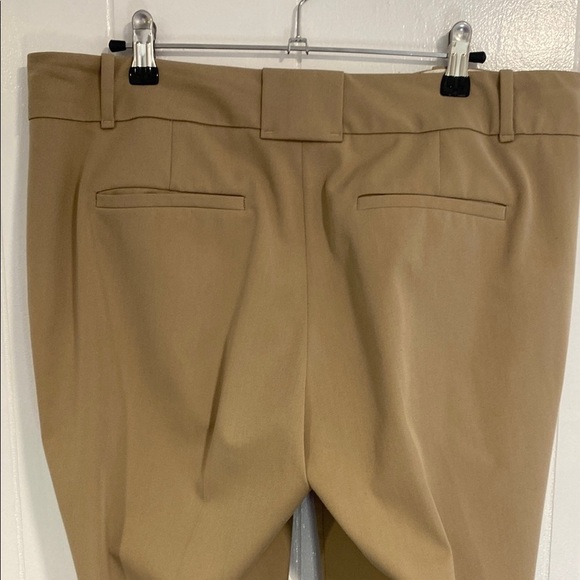 Ann Taylor Pants Trousers Flare Flat Front Midrise Beige Tan Size 10 - Picture 5 of 8